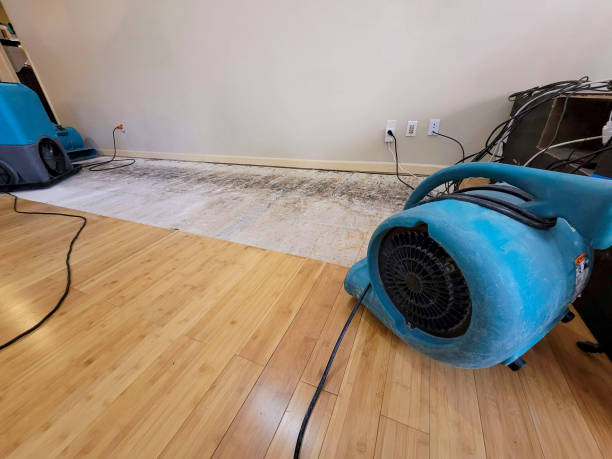 Professional Water Damage Repair technician working in Warren, PA